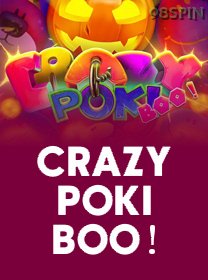 Crazy Poki Boo game cover